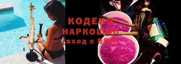 хмурый Тында
