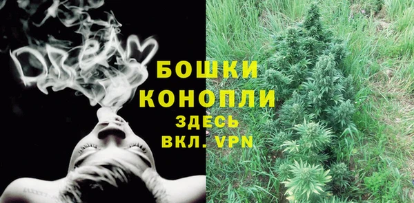 COCAINE Гусь-Хрустальный