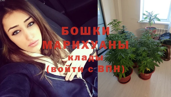 COCAINE Гусь-Хрустальный