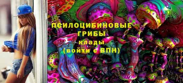 экстази Гусев