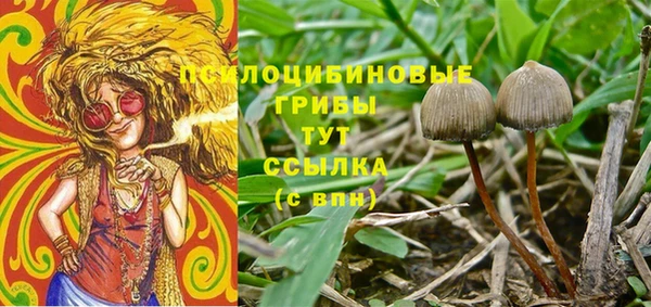 экстази Гусев