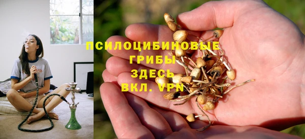 экстази Гусев