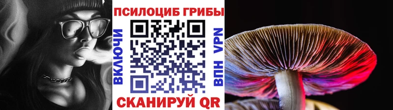 Галлюциногенные грибы мицелий  Коломна 