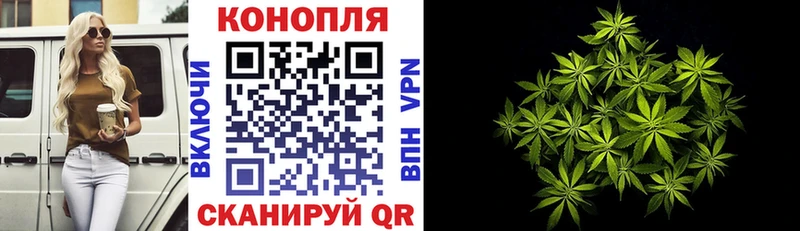 Каннабис конопля Коломна